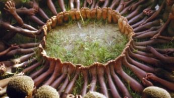 We all SHOULD and MUST follow UBUNTU: Learn and change your LIFE