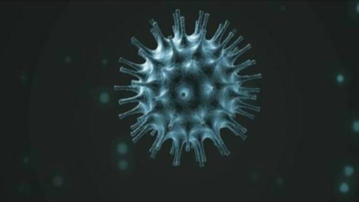 Difference between Coronavirus and common flu
