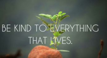 The power of kindness: how kindness can change your life