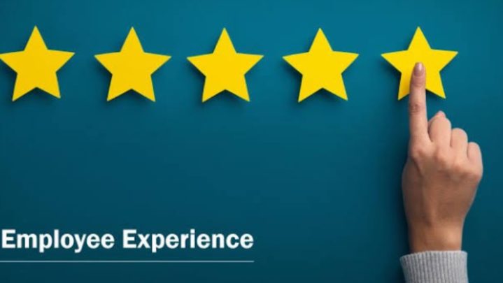 What is employee experience? Why is it a concern for the organisation?