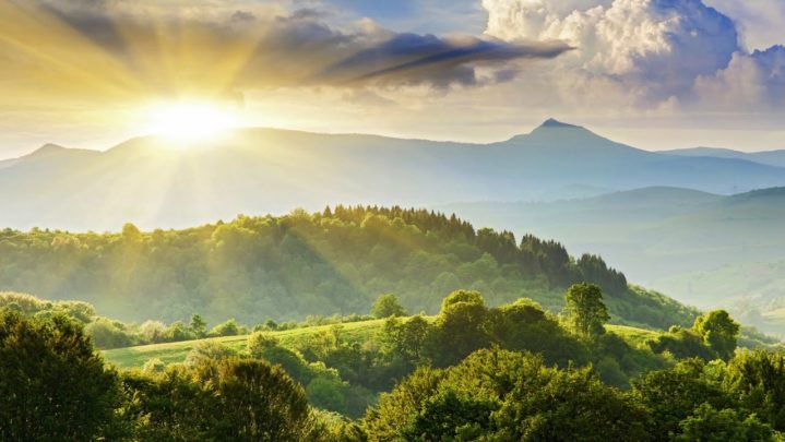 Nature’s beauty: how 2 mins of starring in nature can bring you peace?