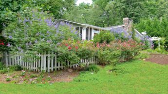 Surround yourself with trees to be healthy!!