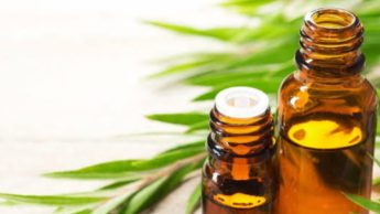 Tea tree oil is the most beneficial oil, here’s why!