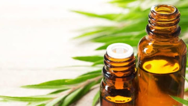 Tea tree oil is the most beneficial oil, here’s why!