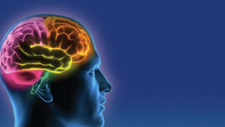 Dietary Guidelines To Follow For Good Brain Health