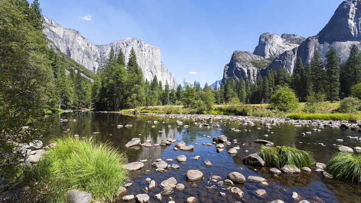 What if nature had a voice?