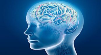 Brain teasers: A jog for your memory