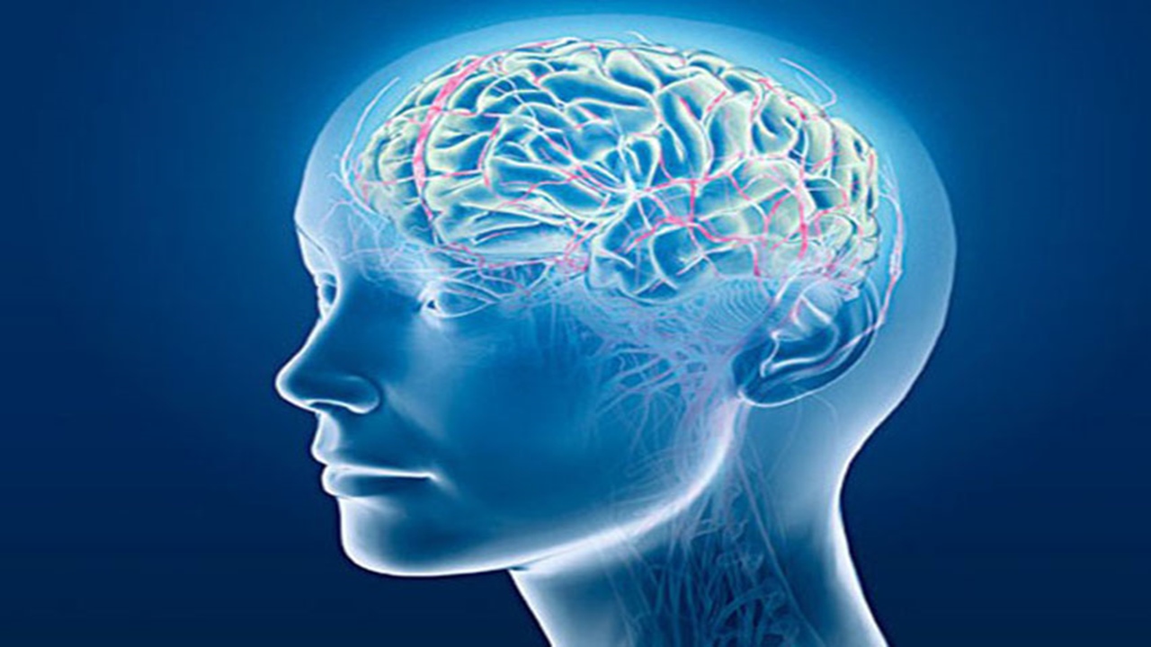 Brain teasers: A jog for your memory