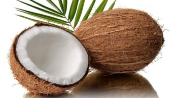 Coconut and its benefits on our body
