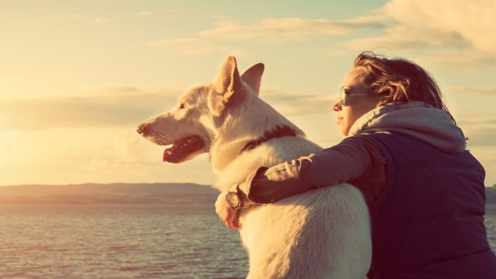 Everything You Need To Know Before Planning A Train Trip With Your Pet Dog