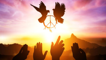 How nature helps soothe self-peace