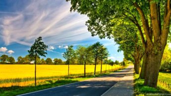 Natural inspiration: Things in nature that inspire us