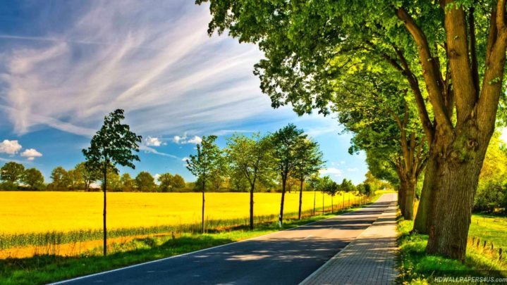 Natural inspiration: Things in nature that inspire us