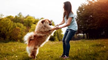 Reasons why having a pet will make you happier