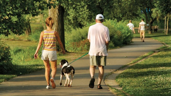 Read: Reasons Why You Must Have A Evening Walk