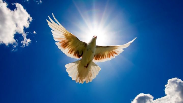 Value of peace-keeping