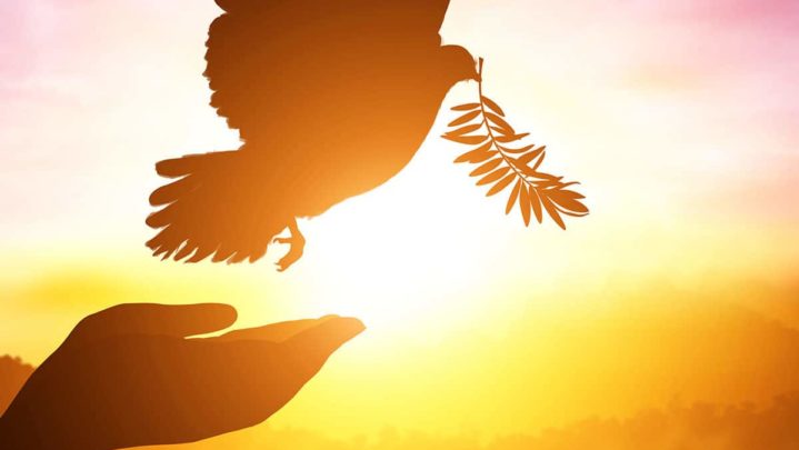 Tips to start your day properly and ensure a peaceful day