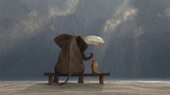 Kindness is the first step towards being peaceful