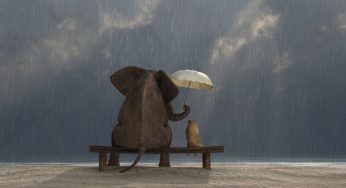 Kindness is the first step towards being peaceful