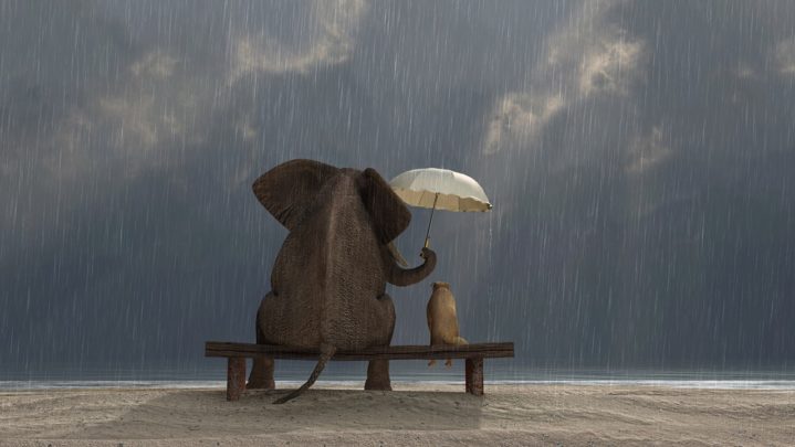 Kindness is the first step towards being peaceful