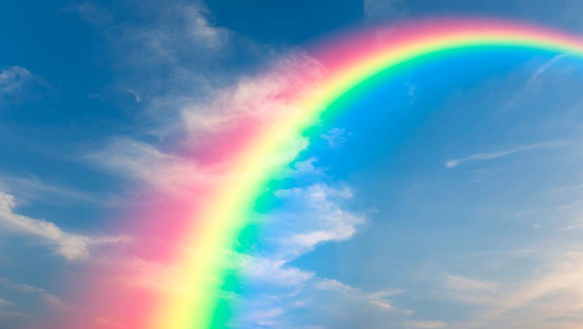 Understanding colors of life