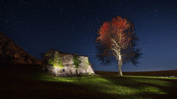 A peaceful place helps to silence the chaos inside you