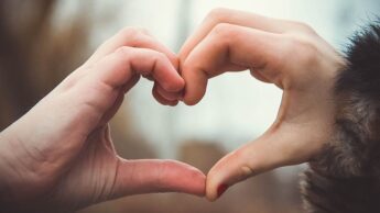 Relationship quotes that will strengthen your love life