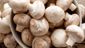 Health benefits of mushrooms