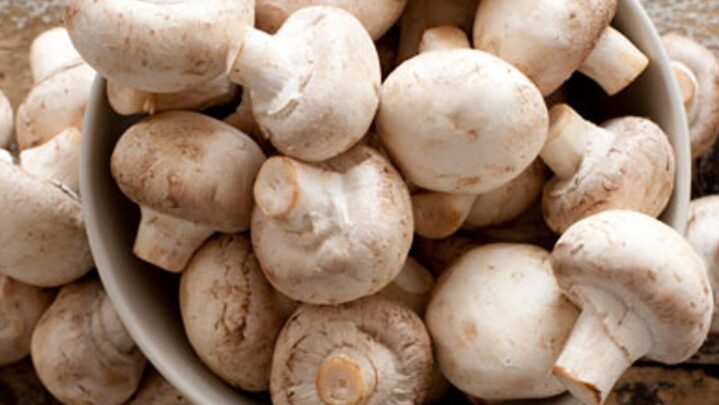 Health benefits of mushrooms