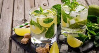 7 Best Rums You Can Use For Mojitos