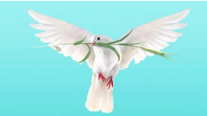 Here Are 3 Best Poems On Peace from UNICEF