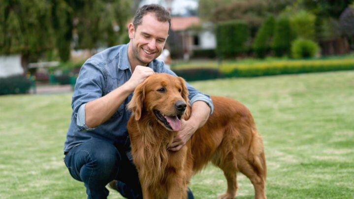 How Can Having A Pet Buy You Peace