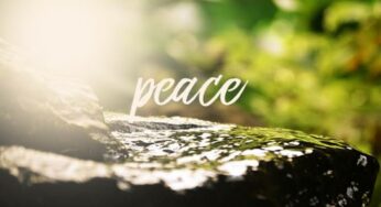 5 Benefits Of Meditation To Pursue Peace In Life