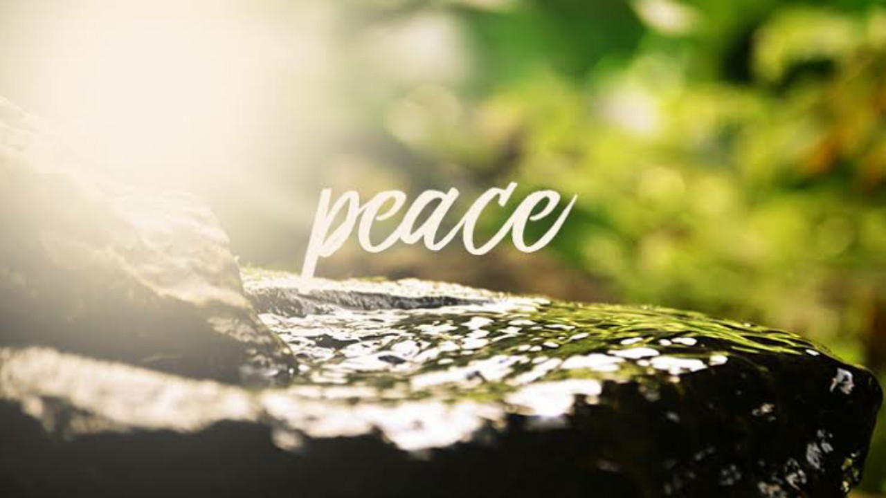5 Benefits Of Meditation To Pursue Peace In Life