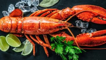 Why Is Lobster Very Expensive?