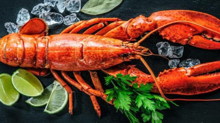 Why Is Lobster Very Expensive?