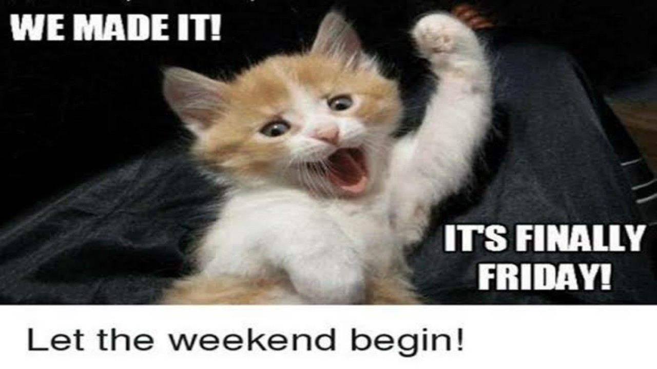 Funny Friday Memes To Boost Your Happiness For the Weekend