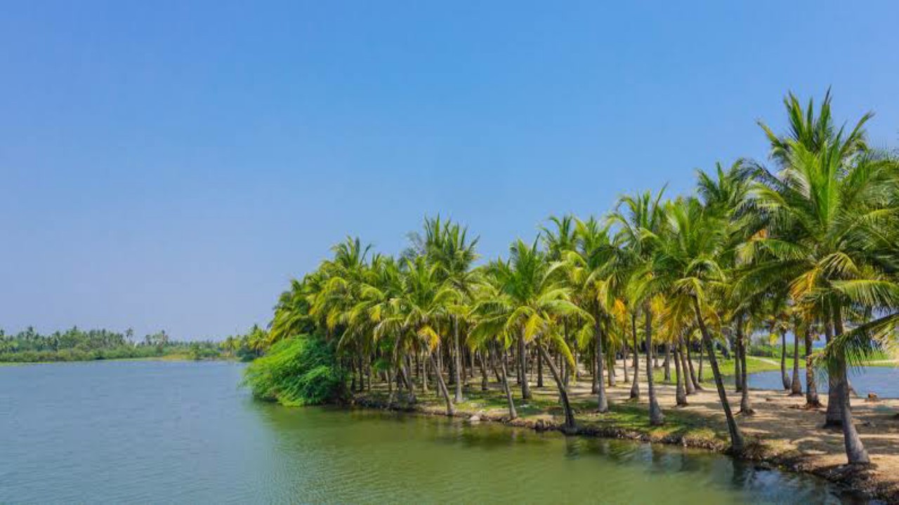 Incredible India: 5 Places In India Where You Can Enjoy Water Sports 4