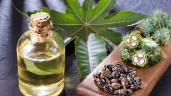 Pros & Cons of castor oil for your facial hair