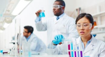 Who Is Valued More In Society? Is It Scientists Or Engineers?