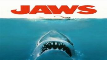 Top 5 Most Thrilling Movies On Sharks You Must Watch
