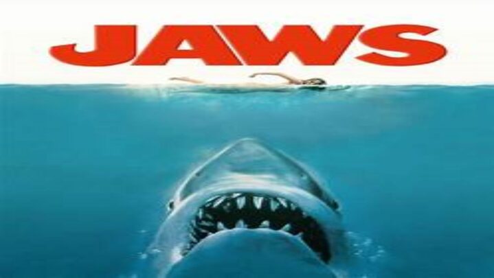 Top 5 Most Thrilling Movies On Sharks You Must Watch