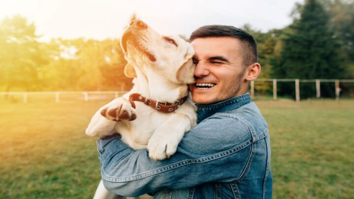 Ways Dogs Can Help A Person Bring Happiness In Life