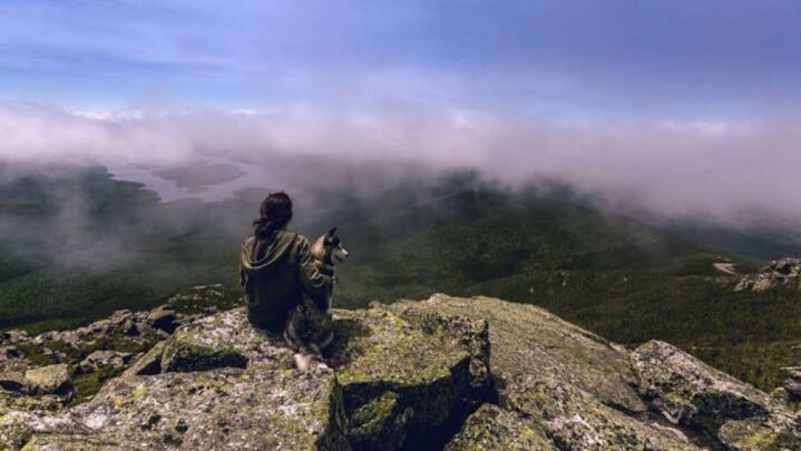 Ways to find peace with help of nature