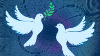 What Are The Principles Of Peace