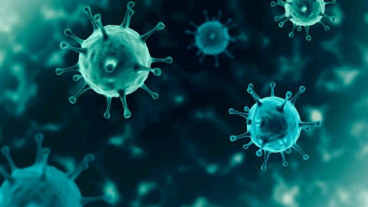 WHAT!!!! Only Less Than 1% Of Bacteria Is Responsible For Causing Disease: Know More