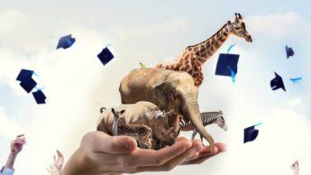 Why is protecting wild animals important