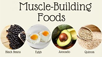 5 Muscle Building Diet For Healthy Lifestyle