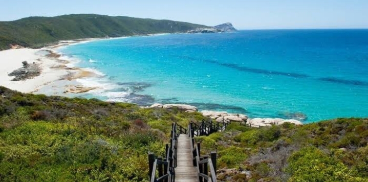 5 Reasons Why Australia Is A Must Visit 4