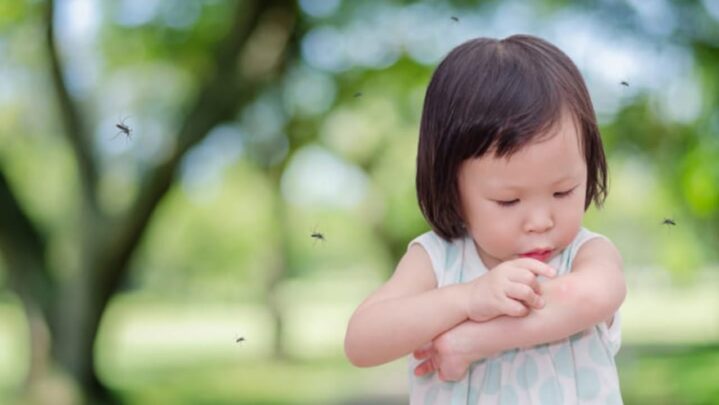 5 Ways To Protect Your Baby From Mosquito Bites